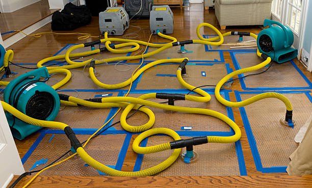 Professional Water Damage Repair technician working in Lamont, WA